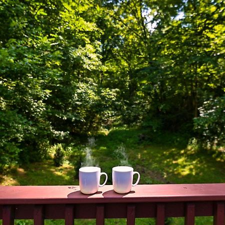 Smoky Mountains Hut Tub Cabin Dog Friendly Sevierville Esterno foto