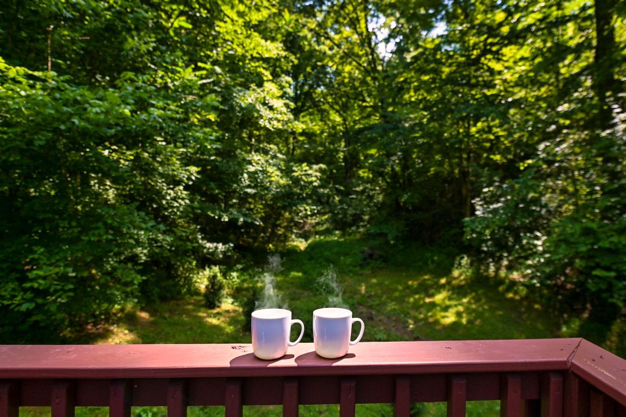 Smoky Mountains Hut Tub Cabin Dog Friendly Sevierville Esterno foto